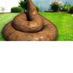 welikepoop#2