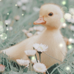 FairyDuck