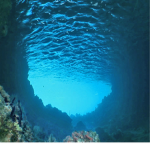 OCEAN ONLY