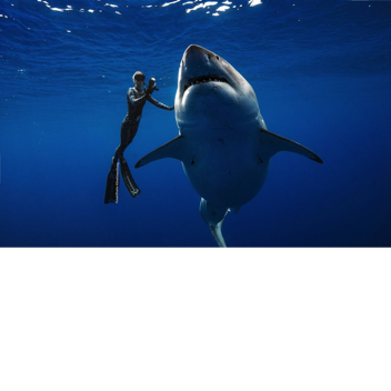 SURVIVE JAWS! [NEW ITEMS ADDED]