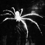 scarred Group Thumbnail