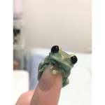 frogo fan group