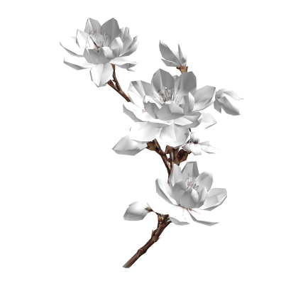 White Cherry Blossom Flower Maximalist Branch