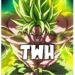 TWH (DBZFS)