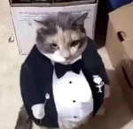 Devils hìde deep ìnsìde
