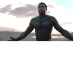 blackpanther group