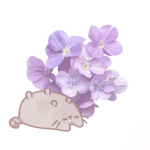 - mai's aesthetics -