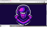 Ninja captain