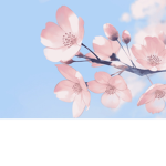claireXflowerz