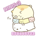 NlNIS