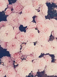 ꜰ.ʀ.ɪ.ᴇ.ɴ.ᴅ.ꜱ.