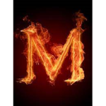 mrits