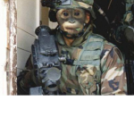 Monkeys military