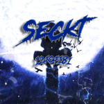 ௹₮Seckt