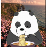 Aesthetic Panda Playz Club