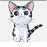 Kitties amy!