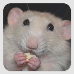 Sweet~Milk