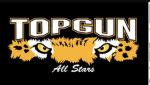 TIGERSXTOPGUN