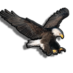 Eagle Bounce