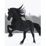 Life stables