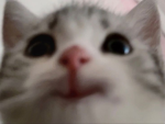ʟ ᴜ ᴍ ɪ ɴ ᴏ ᴜ ꜱ