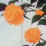 countless blooms