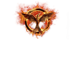 All things hunger games