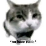 ijhneouie
