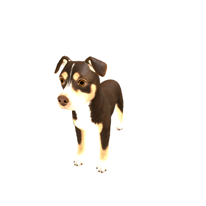 rex v3