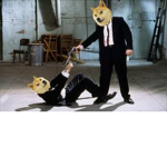 The City of Doge