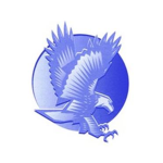 The Mountain Eagle Foundation