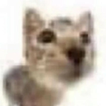 Ooga Booga69