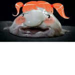 The Grand Fish Group