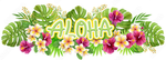 Der kleine süße Hund