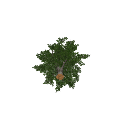 Autumn tree with falling leaves