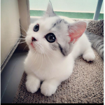 Imani<3