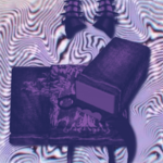 Shadow Guild | SHDW