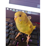 We need help- Please send help