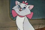 Aristocats Fanclub