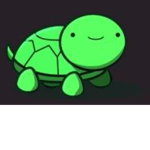 the green sea turtle fighters