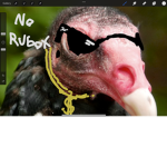 Vulture hood