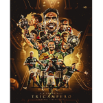 [SEP] Sociedade Esportiva Palmeiras