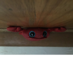Crab star line