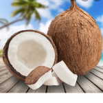 Coconut_sunflower_team
