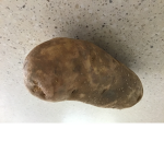 Potatos are cool club