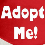 Adopt Me Vip Server
