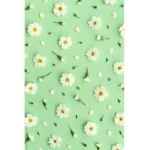 moini_mia