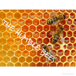 The Humble Bees
