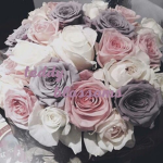 Teddy Blossoms