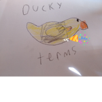 Ducky terms